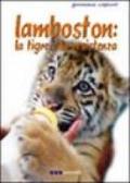 Lambston. La tigre e la resistenza