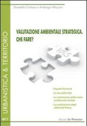 Valutazione ambientale strategica. Che fare?