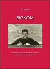 Bigkom. Memorie di un toscanaccio tra comizi, miniere, serpenti e frontiere