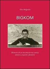 Bigkom. Memorie di un toscanaccio tra comizi, miniere, serpenti e frontiere