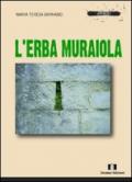 L'erba muraiola