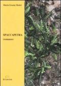 Spaccapetra