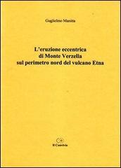 L' eruzione eccentrica di monte Verzella sul perimetro nord del vulcano Etna