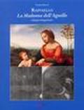 Raffaello. La Madonna dell'Agnello, indagini diagnostiche