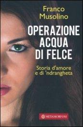 Operazione acqua di felce. Storia d'amore e di 'ndrangheta