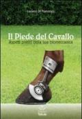 Il piede del cavallo. Aspetti pratici della sua biomeccanica