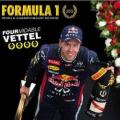 Formula 1 2013