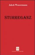 Sturreganz