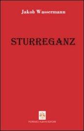 Sturreganz