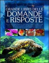 Grande libro delle domande e delle risposte (Il)