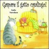 Gaspare, il gatto casalingo!