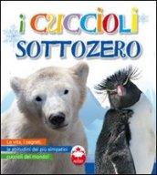 I cuccioli sottozero