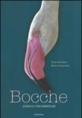 Bocche