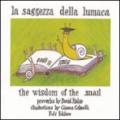 La saggezza della lumaca