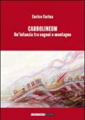 Carbolineum. Un'infanzia tra vagoni e montagne