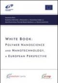 White book. Polymer nanoscience and nanotechnology. A European perspective