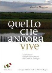 Quello che ancora vive. Il salvamento del generale Garibaldi nelle terre di Romagna