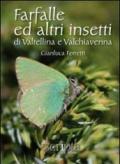 Farfalle e altri insetti di Valtellina e Valchiavenna