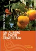 Un albero di cachi sono stata