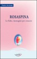 Rosaspina. La fiaba, immagini per crescere