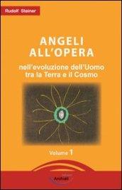 Angeli all'opera nell'evoluzione dell'uomo fra la terra e il cosmo. Elementi conoscitivi sul divenire umano