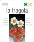 La fragola