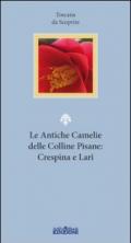 Le antiche camelie delle colline pisane: Crespina e Lari