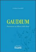 Gaudium. Frammenti sui misteri della gioia