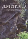 Ulivi di Puglia. La voce della natura nell'anima dell'uomo