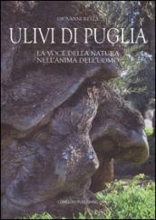 Ulivi di Puglia. La voce della natura nell'anima dell'uomo