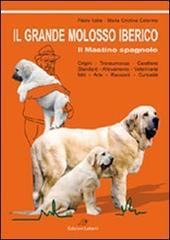 Il grande molosso iberico. Il mastino spagnolo