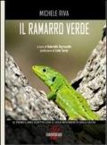 Il ramarro verde