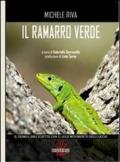 Il ramarro verde