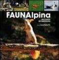 Fauna alpina. Incontri ed emozioni