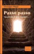 Passo passo. «Quando finirete di dire minchiate...»