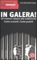 In galera! Gli evasori rubano alla collettività. Come scovarli. Come punirli