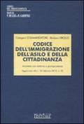Codice dell'immigrazione, dell'asilo e della cittadinanza