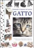 Domande e risposte sul nostro gatto