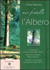 Mio fratello l'albero