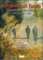 Altipiani di fuoco. La Strafexpedition austriaca del giugno 1916