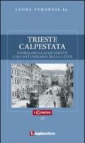 Trieste calpestata. Storia degli acquedotti e dei sotterranei della città