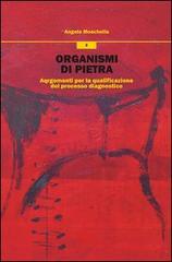 Organismi di pietra. Argomenti per la qualificazione del processo diagnostico