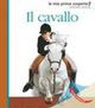 Il cavallo