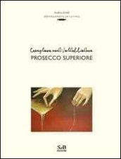 Conegliano und Valdobbiadene prosecco superiore