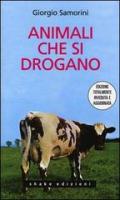 Animali che si drogano