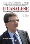 Il Casalese. Ascesa e tramonto di un leader politico di Terra di lavoro