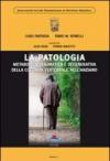 La patologia metabolica traumatica e degenerativa della colonna vertebrale nell'anziano