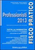 Professionisti 2013