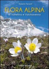 Flora alpina di Valtellina e Valchiavenna