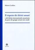 Il rispetto dei diritti umani e del diritto internazionale umanitario da parte dei gruppi armati non statali